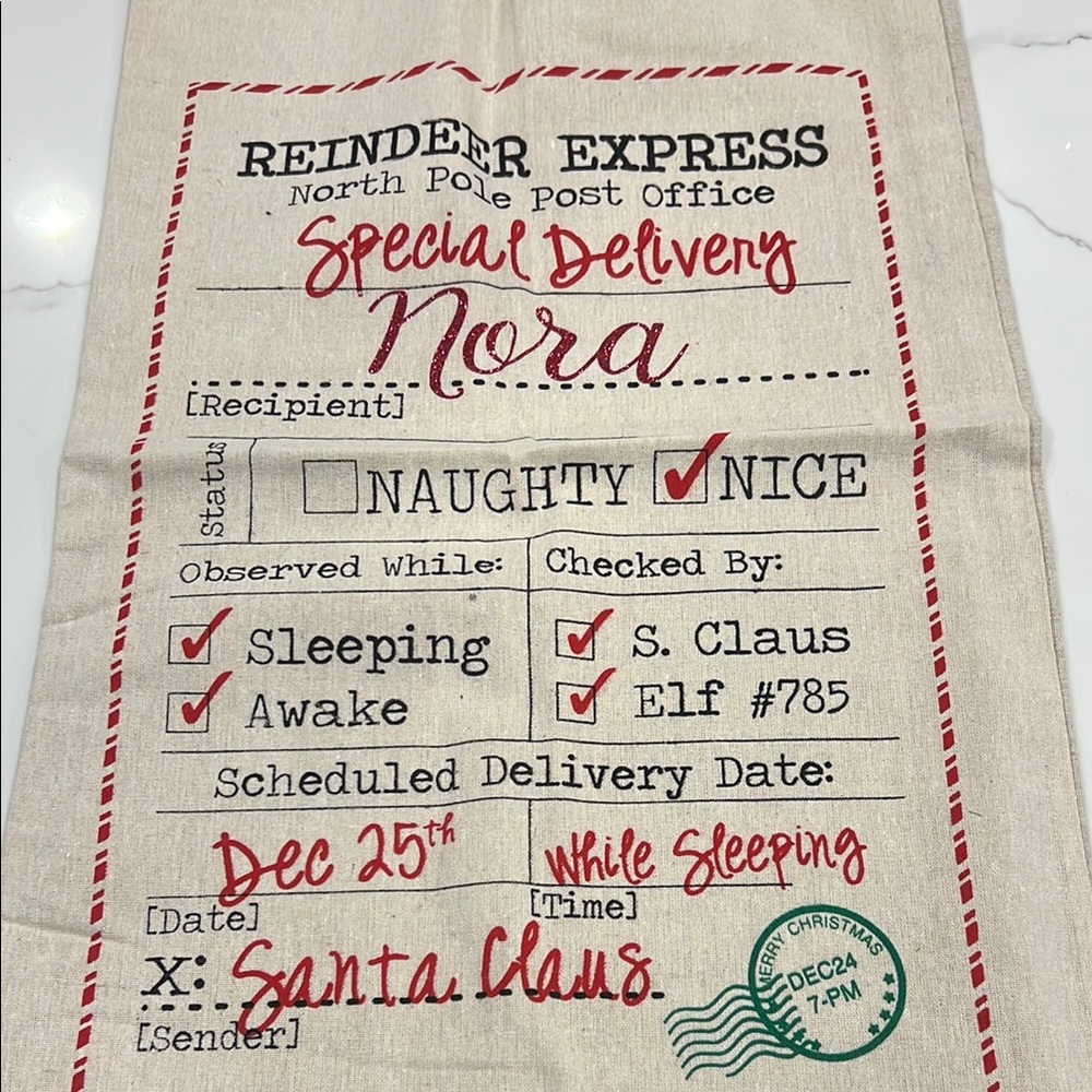 Special Delivery Santa Sack